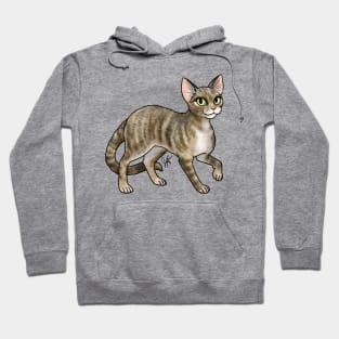 Cat - Devon Rex - Tabby Hoodie